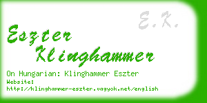 eszter klinghammer business card